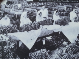 Выращивание бананов - основной вид сельскохозяйственной деятельности на Тенерифе 